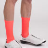 Pro Team Socks - Orange